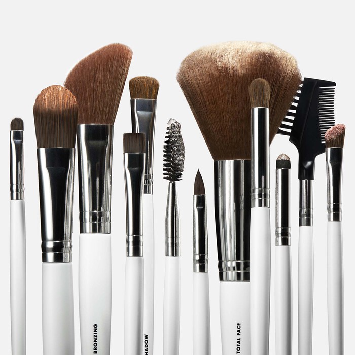 Professional Set of 12 Makeup Brushes, 